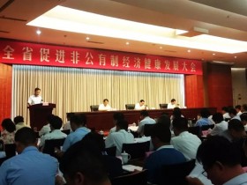 河南省促进非公有制经济健康发展大会召开 河南江河纸业再获殊荣